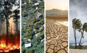 Berita Lingkungan: Upaya Konservasi Dan Isu Perubahan Iklim