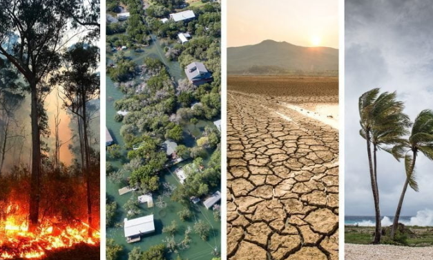 Berita Lingkungan: Upaya Konservasi Dan Isu Perubahan Iklim