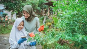 Gaya Hidup Sederhana Yang Semakin Diminati Masyarakat