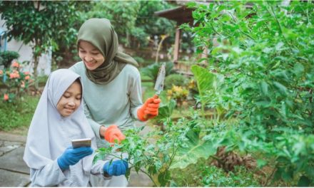 Gaya Hidup Sederhana Yang Semakin Diminati Masyarakat
